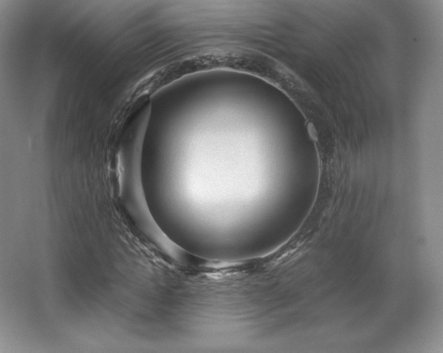 X0000067830822200604171124