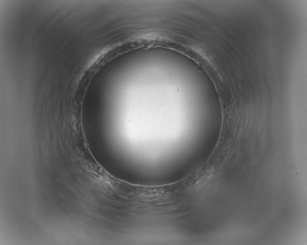 X0000067830823200604171124