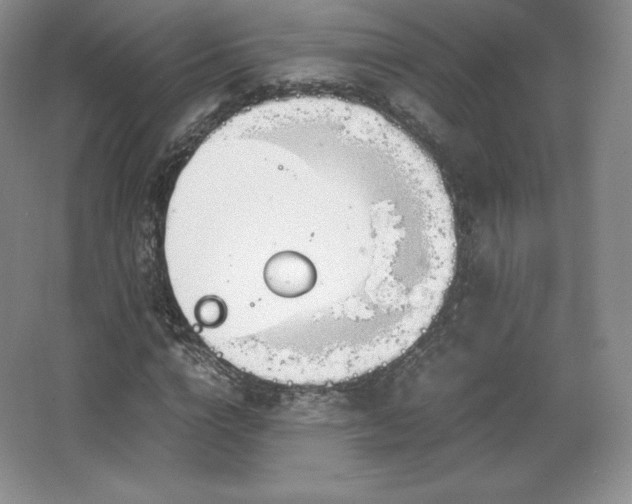 X0000067830824200604171124