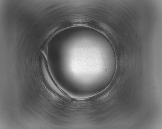 X0000067830825200604171124