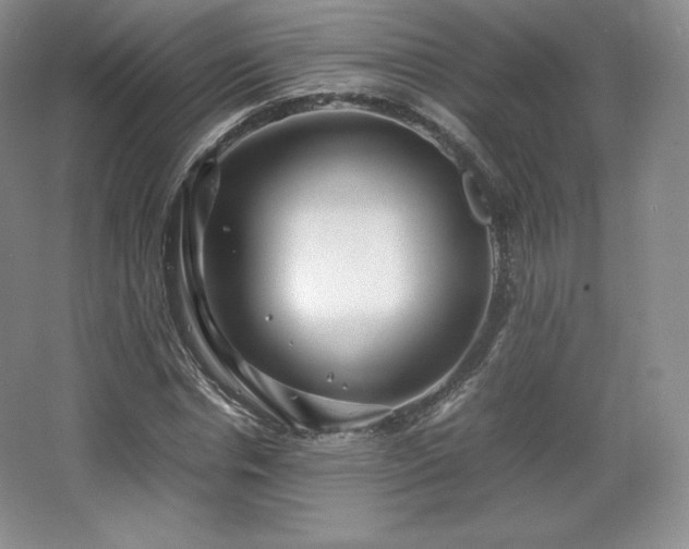 X0000067830826200604171124