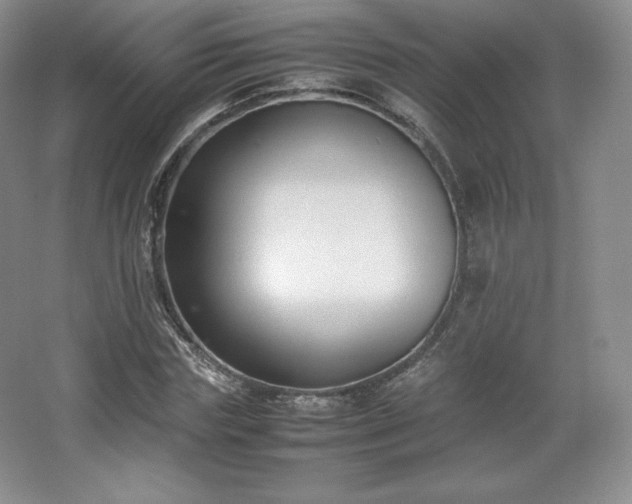 X0000067830827200604171124