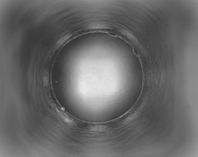 X0000067830833200604171125