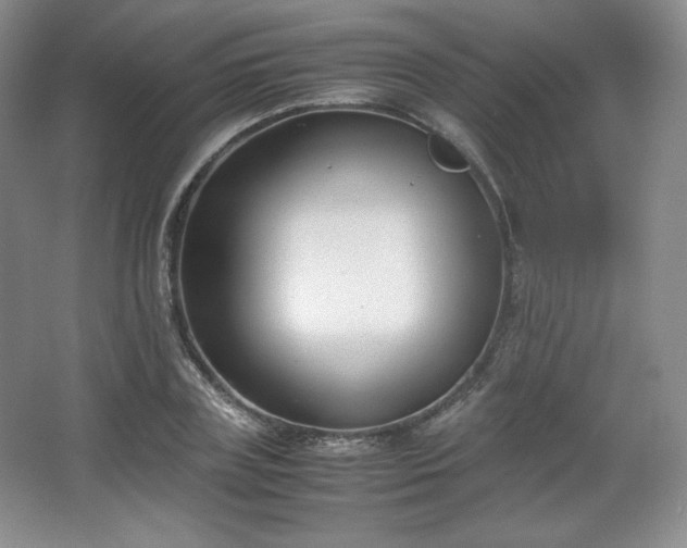 X0000067830835200604171125