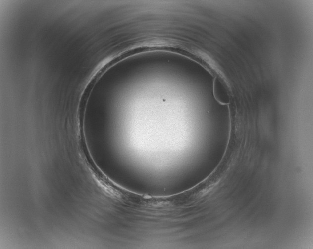 X0000067830837200604171125