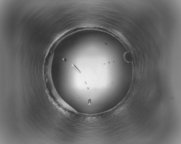 X0000067830839200604171125