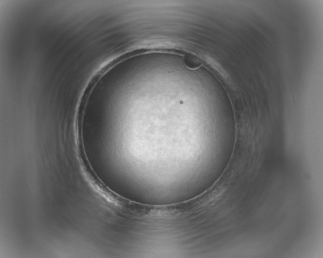 X0000067830840200604171125