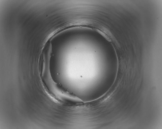 X0000067830842200604171125