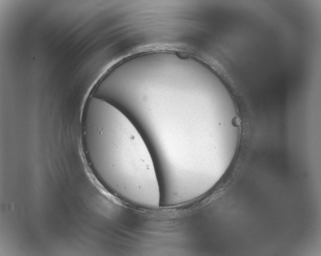 X0000067830844200604171125