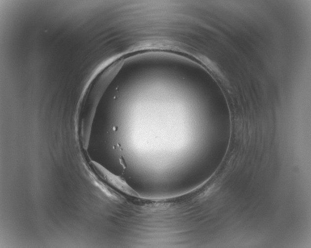 X0000067830846200604171125