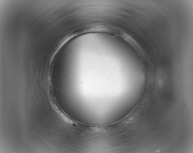 X0000067830852200604171125