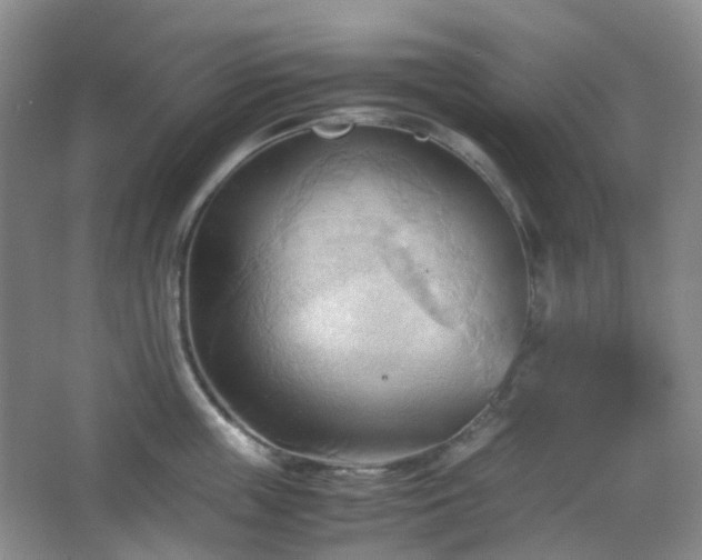 X0000067830859200604171125