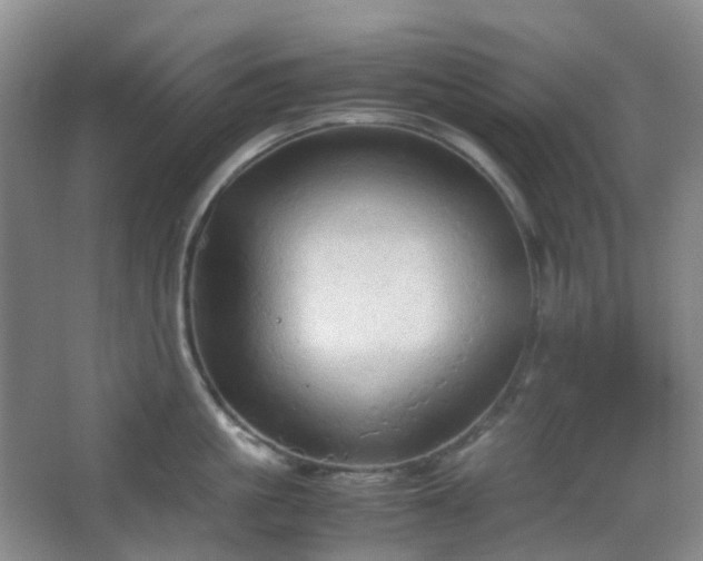 X0000067830861200604171125