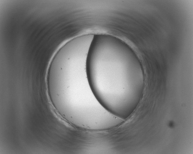 X0000067830864200604171125