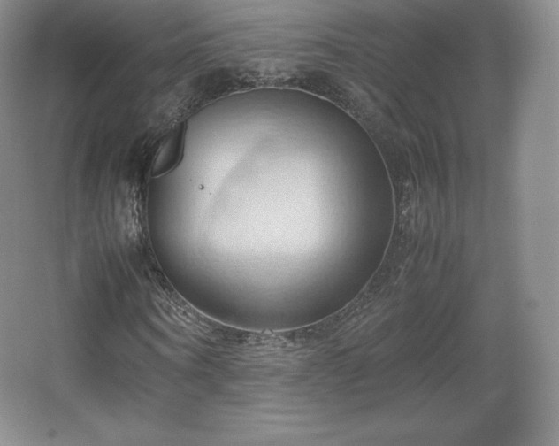 X0000067830866200604171124