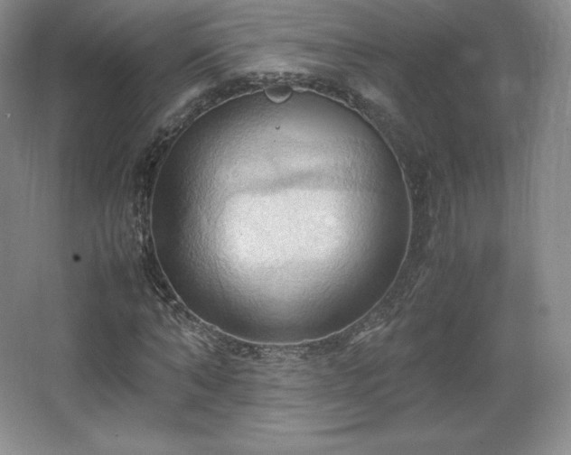 X0000067830870200604171124