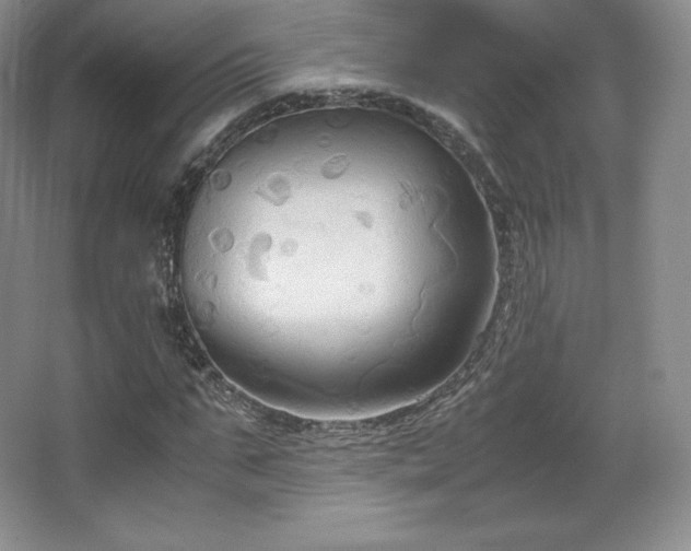 X0000067830871200604171124