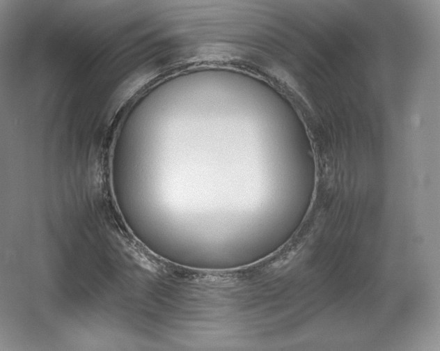 X0000067830874200604171124