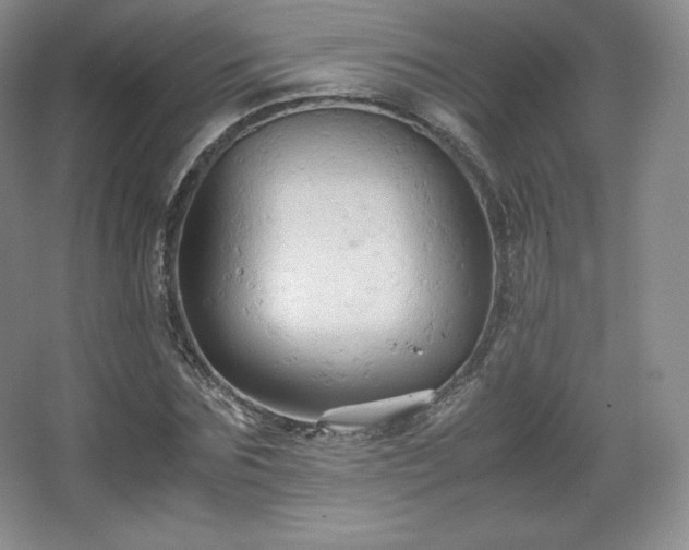 X0000067830875200604171124