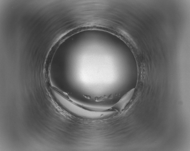 X0000067830876200604171124