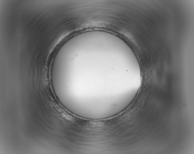 X0000067830878200604171124