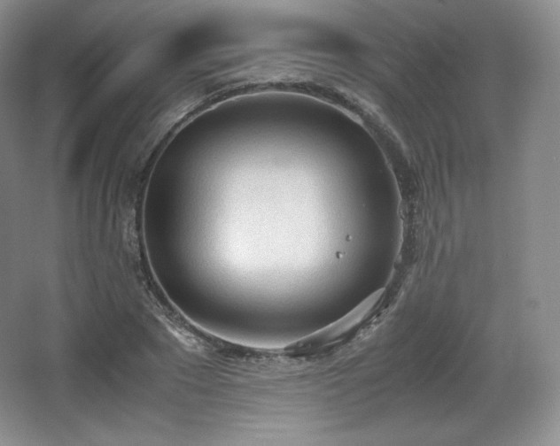 X0000067830881200604171124