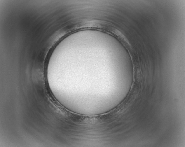 X0000067830882200604171124