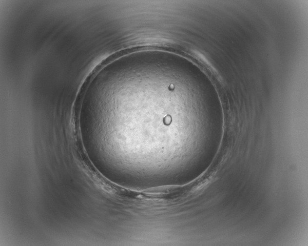 X0000067830883200604171124