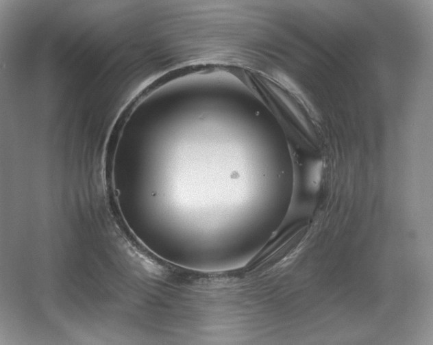 X0000067830884200604171124