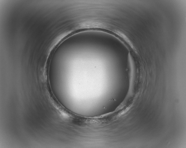 X0000067830885200604171124