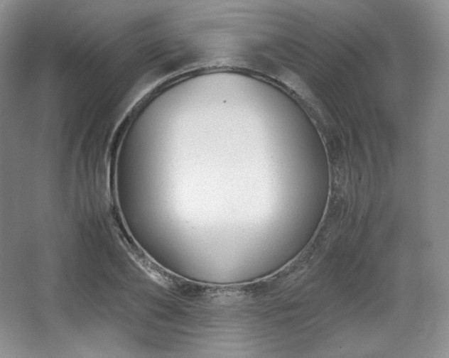 X0000067830886200604171124