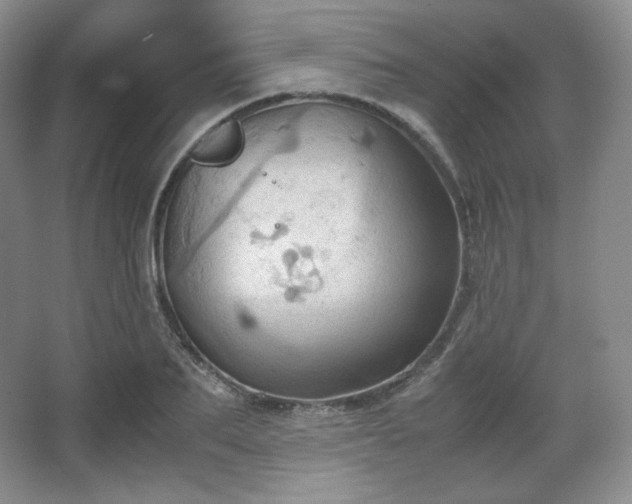 X0000067830887200604171124