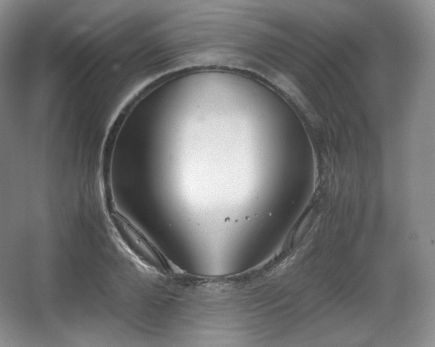 X0000067830888200604171124