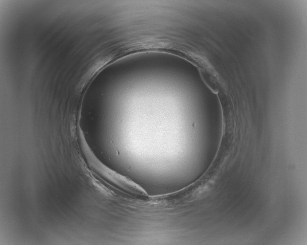 X0000067830889200604171124