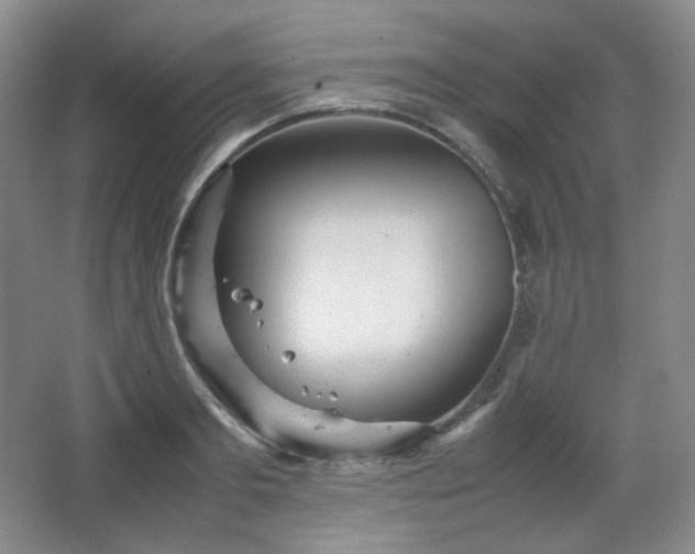 X0000067830893200604171124