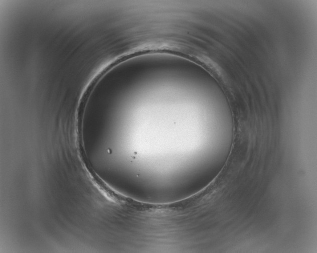 X0000067830894200604171124