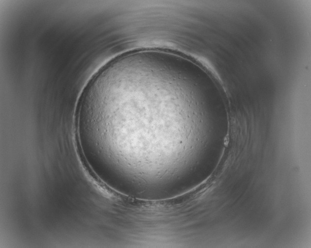 X0000067830895200604171124