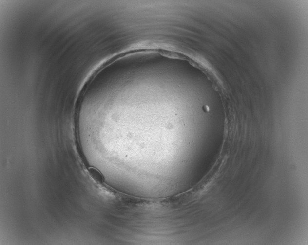 X0000067830896200604171124