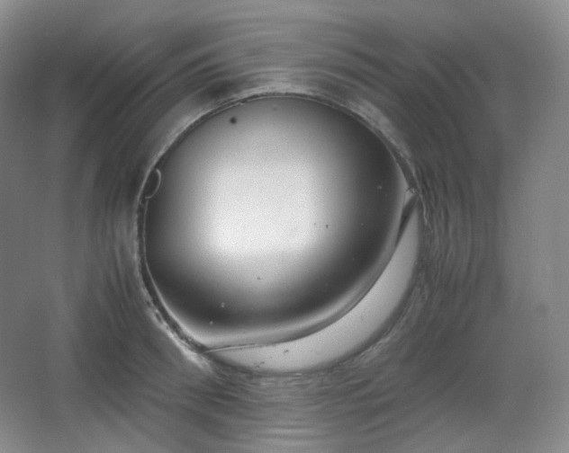 X0000067830898200604171124