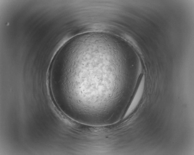 X0000067830899200604171124