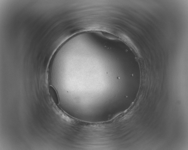 X0000067830900200604171124