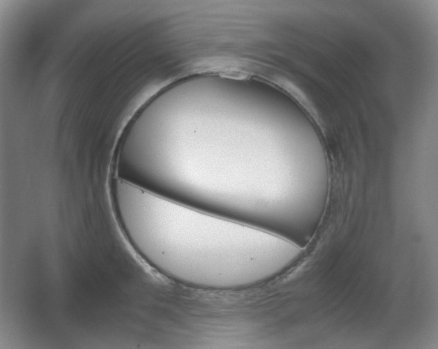 X0000067830901200604171124