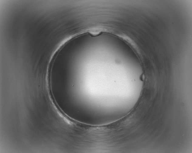 X0000067830902200604171124