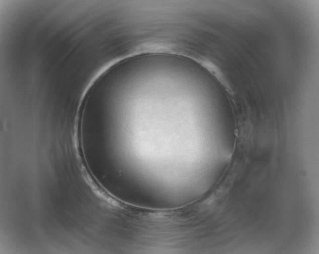 X0000067830904200604171124