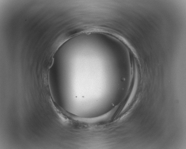 X0000067830905200604171124