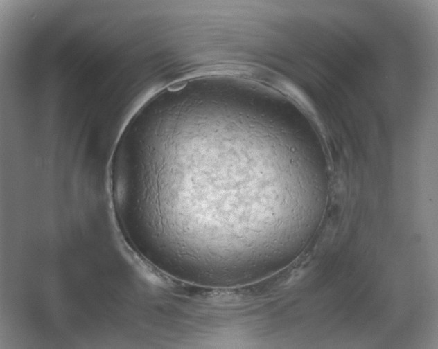 X0000067830907200604171124