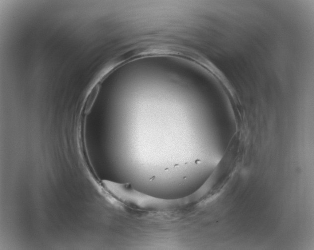 X0000067830909200604171124