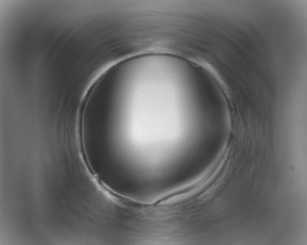 X0000067830910200604171124