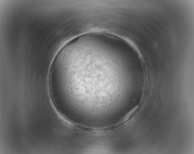 X0000067830911200604171124