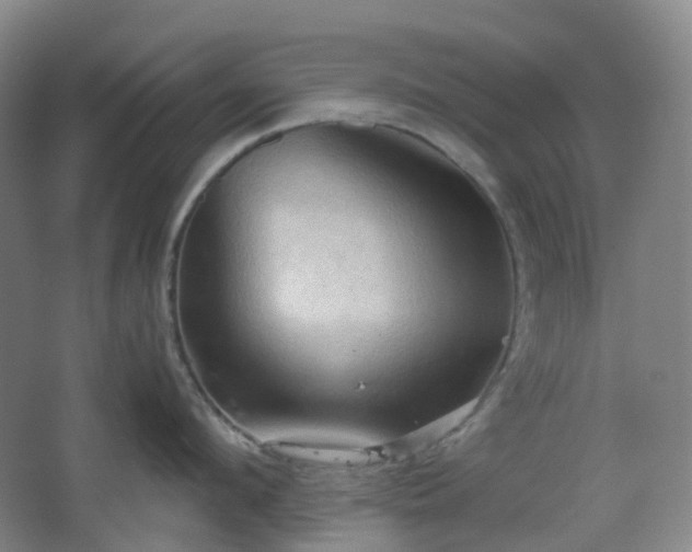 X0000067830912200604171123